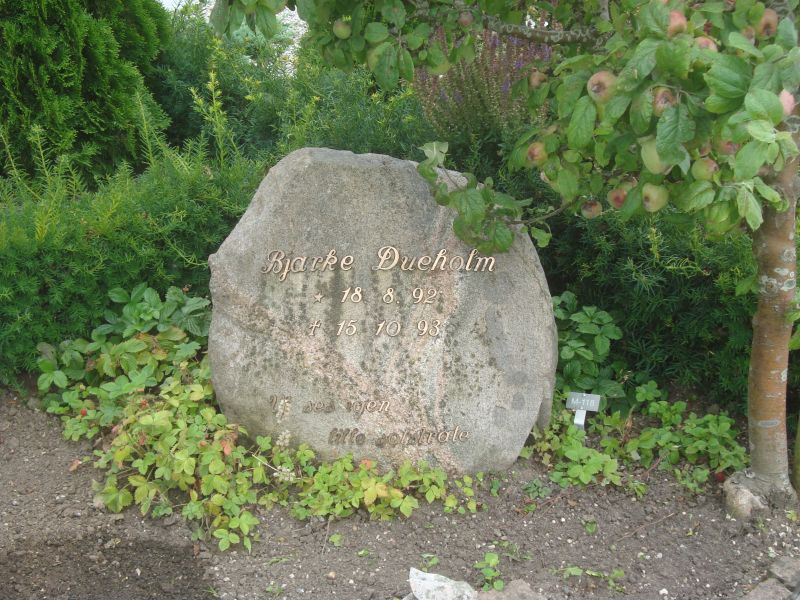 Bjarke Dueholm.JPG